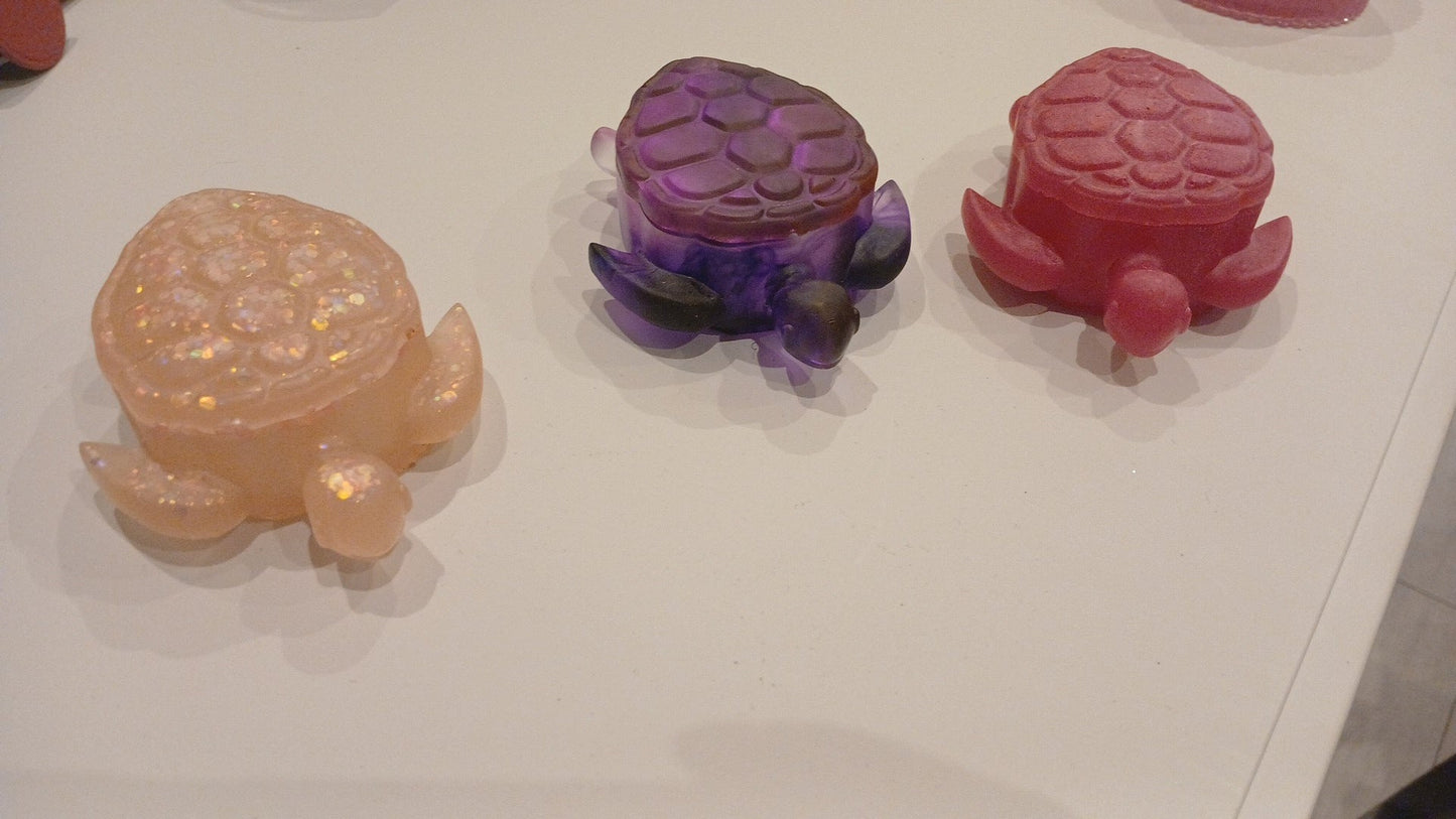 Boîte tortue