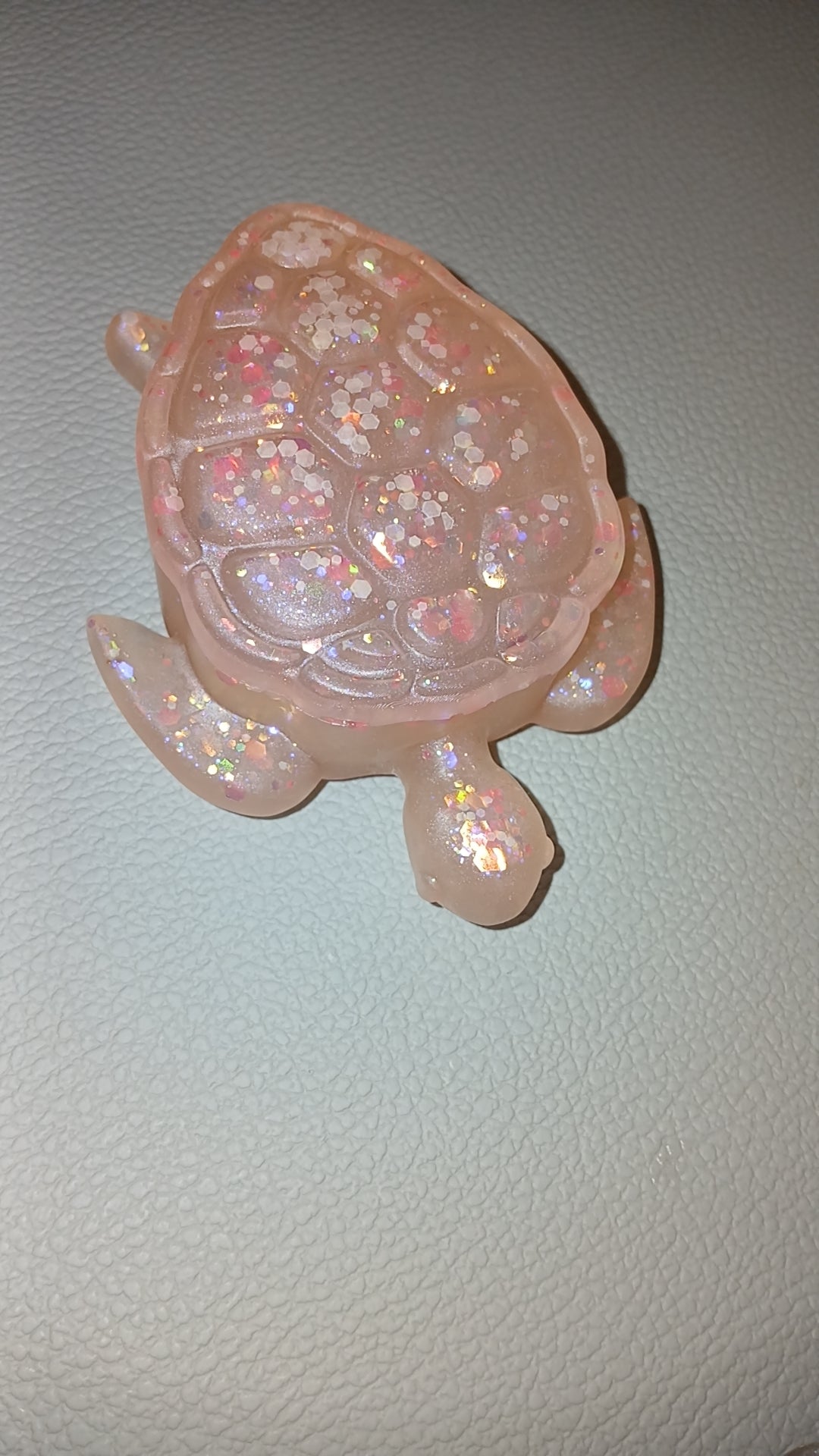 Boîte tortue