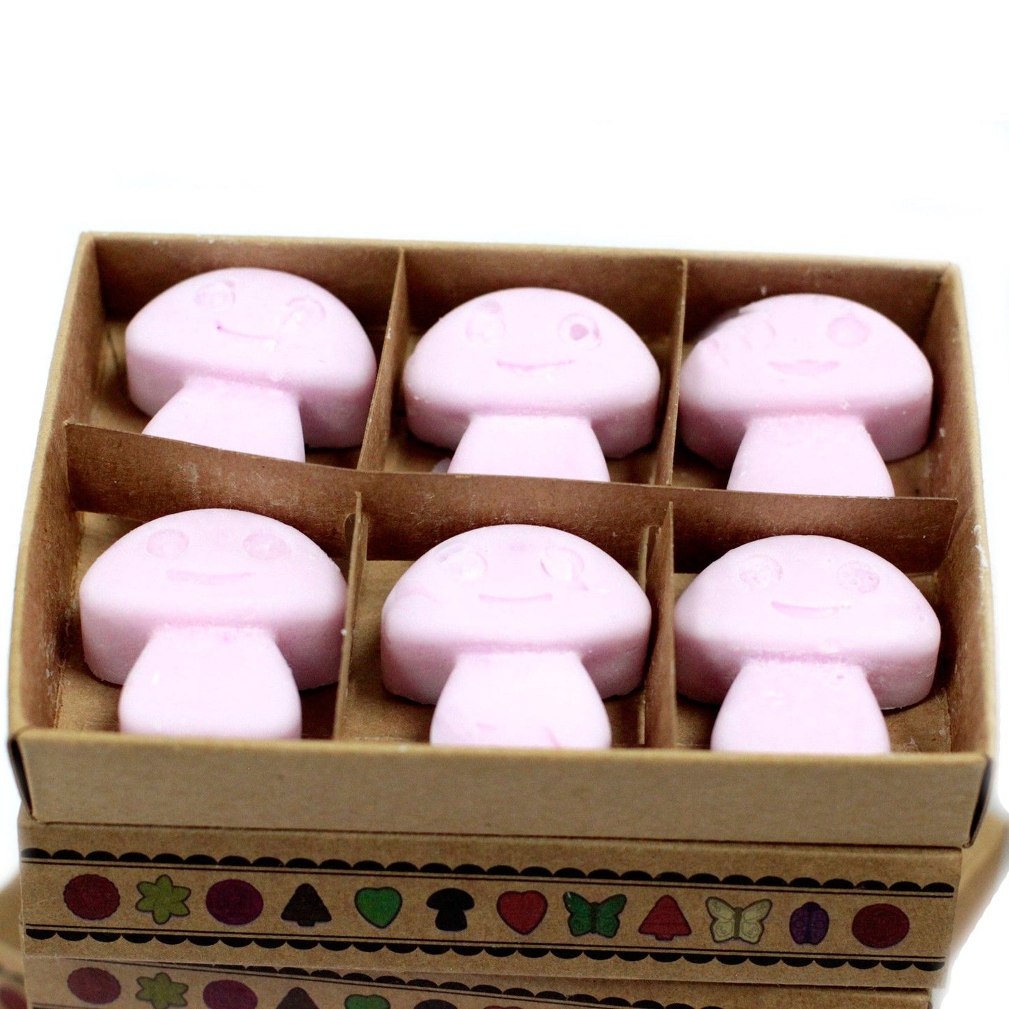 Coffret de 6 fondants à la cire de soja - Ylang Ylang